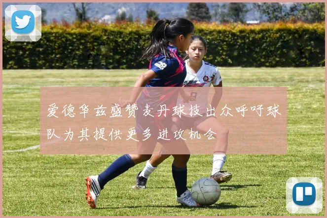 爱德华兹盛赞麦丹球技出众呼吁球队为其提供更多进攻机会