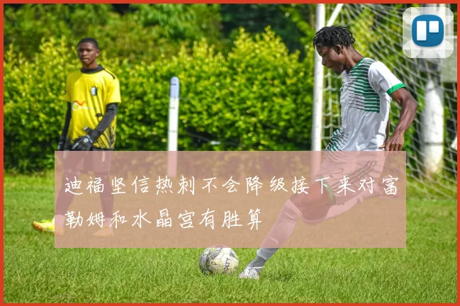 迪福坚信热刺不会降级接下来对富勒姆和水晶宫有胜算